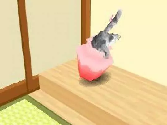 Kawaii Koneko DS 2 - DS