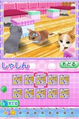 Kawaii Koneko DS 2 - DS