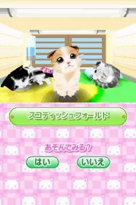 Kawaii Koneko DS 2 - DS