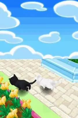 Kawaii Koneko DS 2 - DS