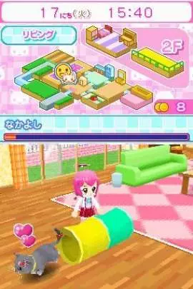 Kawaii Koneko DS 2 - DS