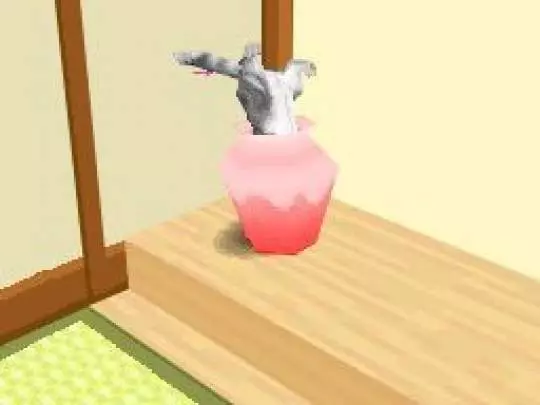 Kawaii Koneko DS 2 - DS