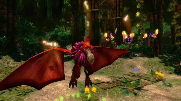 Chaotic Shadow Warriors