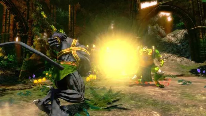 Chaotic Shadow Warriors