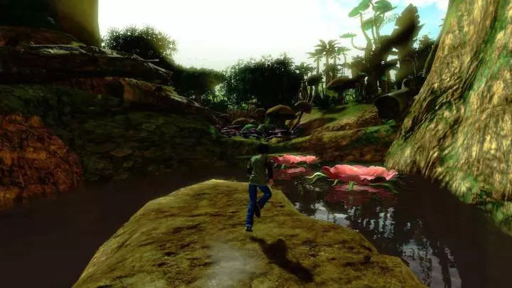 Chaotic Shadow Warriors