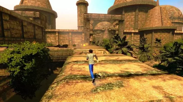 Chaotic Shadow Warriors