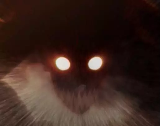 Naruto Ultimate Ninja 5