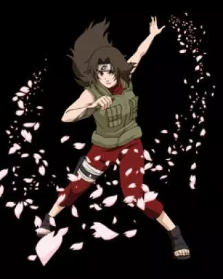 Naruto Shippuden: Ultimate Ninja Heroes 3