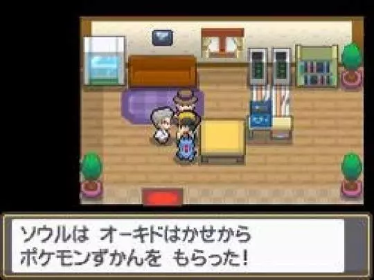 Pokémon HeartGold - DS