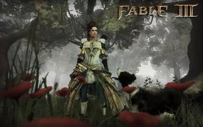 Fable 3 - PC
