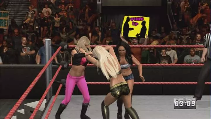 WWE SmackDown vs. Raw 2010