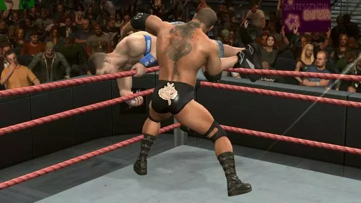 WWE SmackDown vs. Raw 2010
