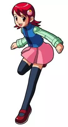 Mega Man Battle Network - DS