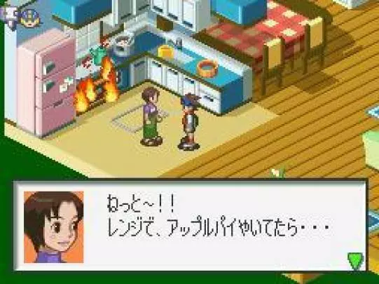 Mega Man Battle Network - DS