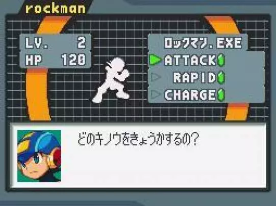 Mega Man Battle Network