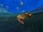 Rapala We Fish - Imagen Wii