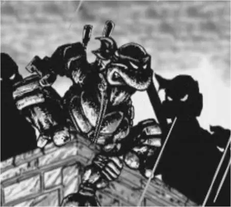 TMNT Arcade Attack - DS