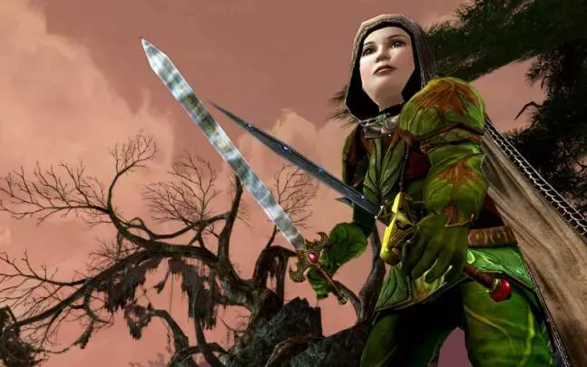 LOTR Siege of Mirkwood - PC