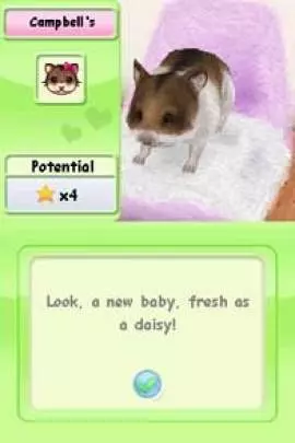 Animalz Hamsterz Superstar - DS