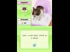 Animalz Hamsterz Superstar - Imagen