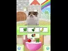 Animalz Hamsterz Superstar - Imagen DS