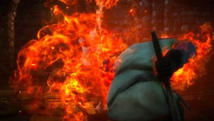 The Witcher 2: Assassins of Kings