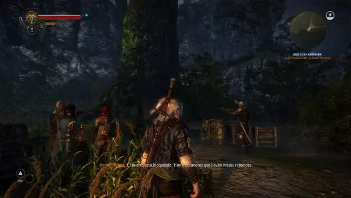 The Witcher 2: Assassins of Kings