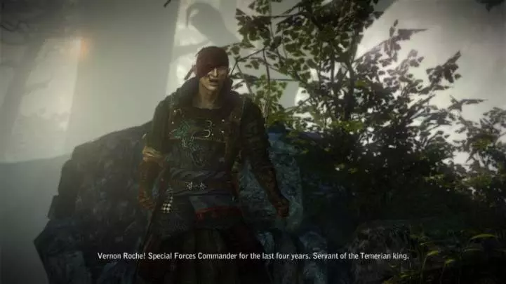 The Witcher 2: Assassins of Kings