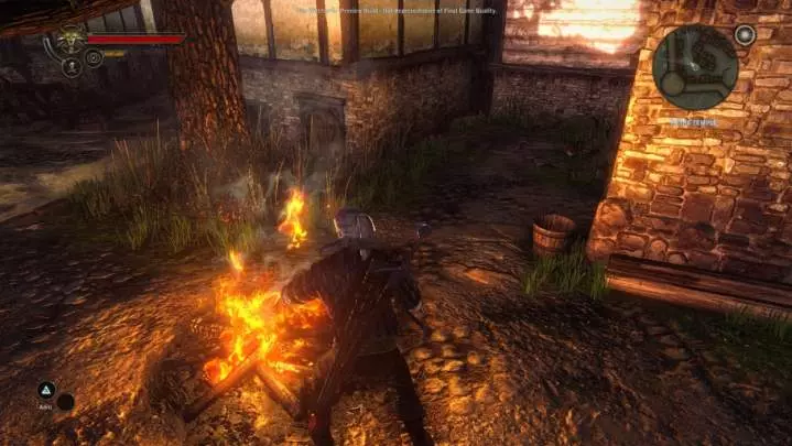 The Witcher 2: Assassins of Kings