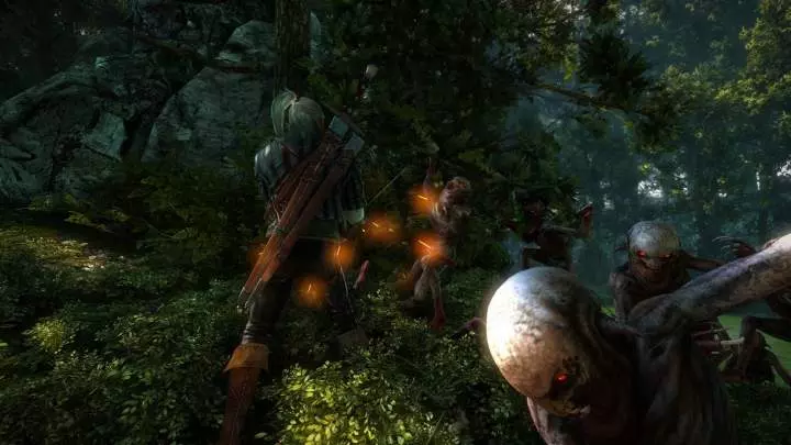The Witcher 2: Assassins of Kings