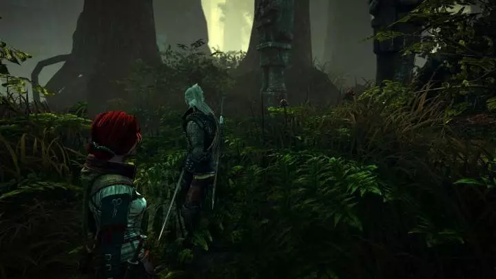 The Witcher 2: Assassins of Kings