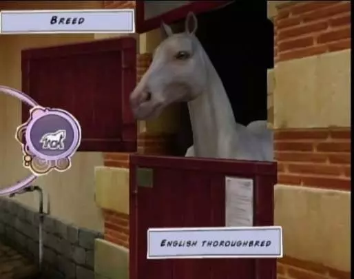 Horse Life Adventures