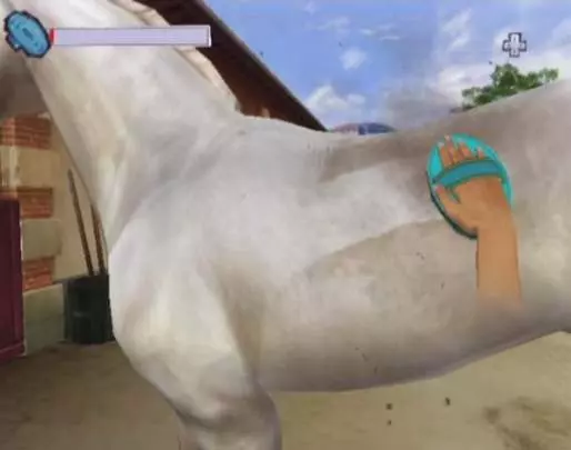 Horse Life Adventures