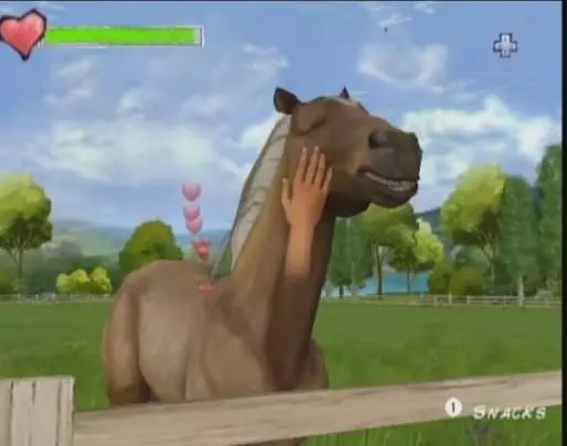 Horse Life Adventures - Wii