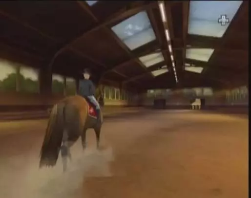 Horse Life Adventures