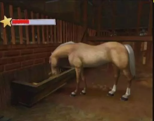 Horse Life Adventures - Wii