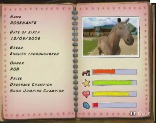 Horse Life Adventures