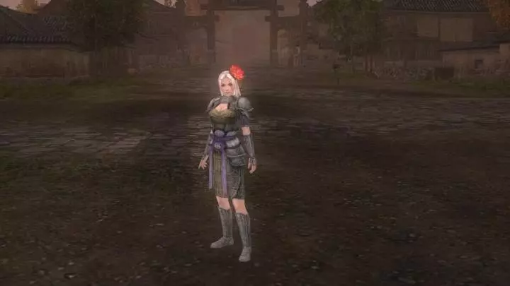 Dynasty Warriors Online