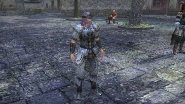 Dynasty Warriors Online