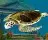 Petz: Dolphinz Encounter
