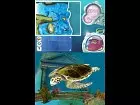 Petz Dolphinz Encounter - Imagen