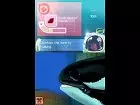 Petz Dolphinz Encounter - Imagen DS