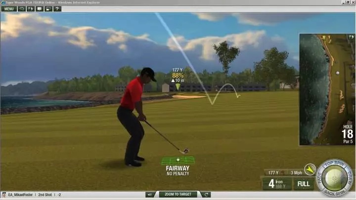 Tiger Woods PGA Tour Online