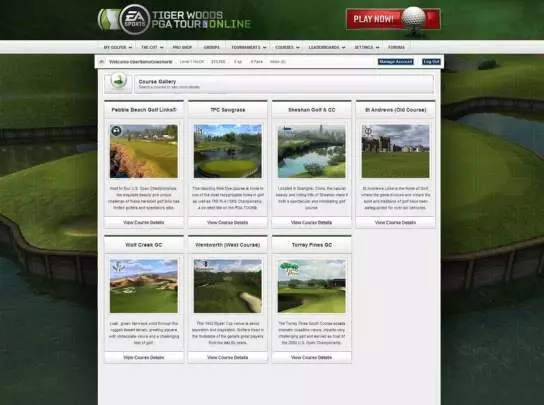 Tiger Woods PGA Tour Online