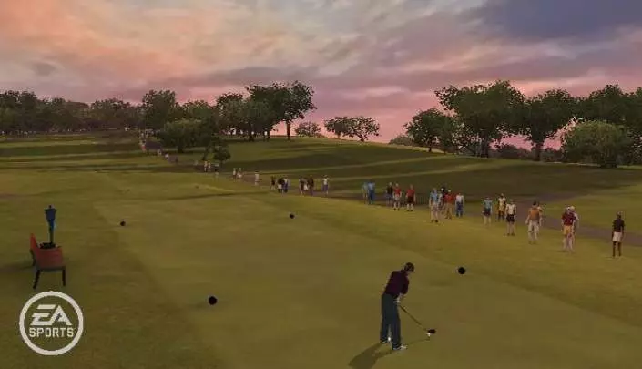 Tiger Woods PGA Tour Online - Web