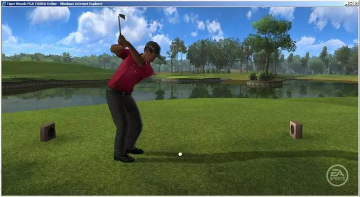 Tiger Woods PGA Tour Online