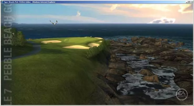 Tiger Woods PGA Tour Online