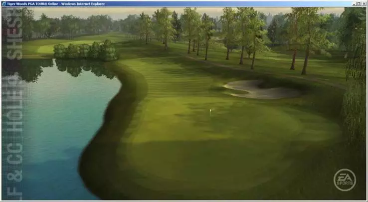 Tiger Woods PGA Tour Online - Web