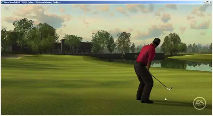 Tiger Woods PGA Tour Online