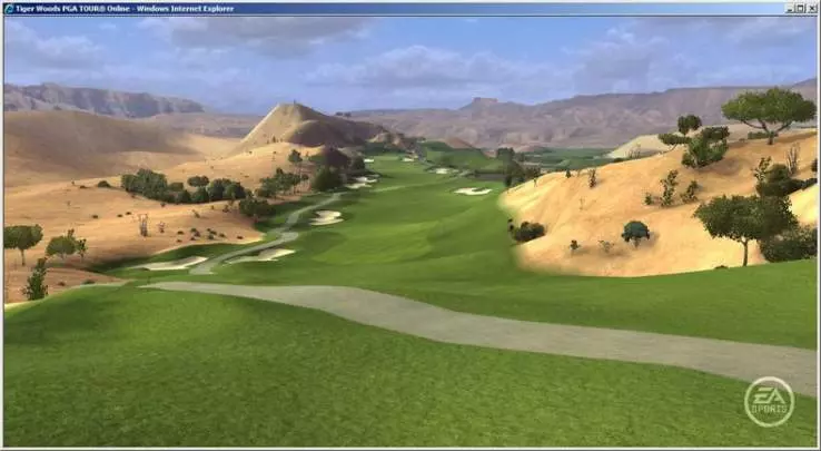 Tiger Woods PGA Tour Online